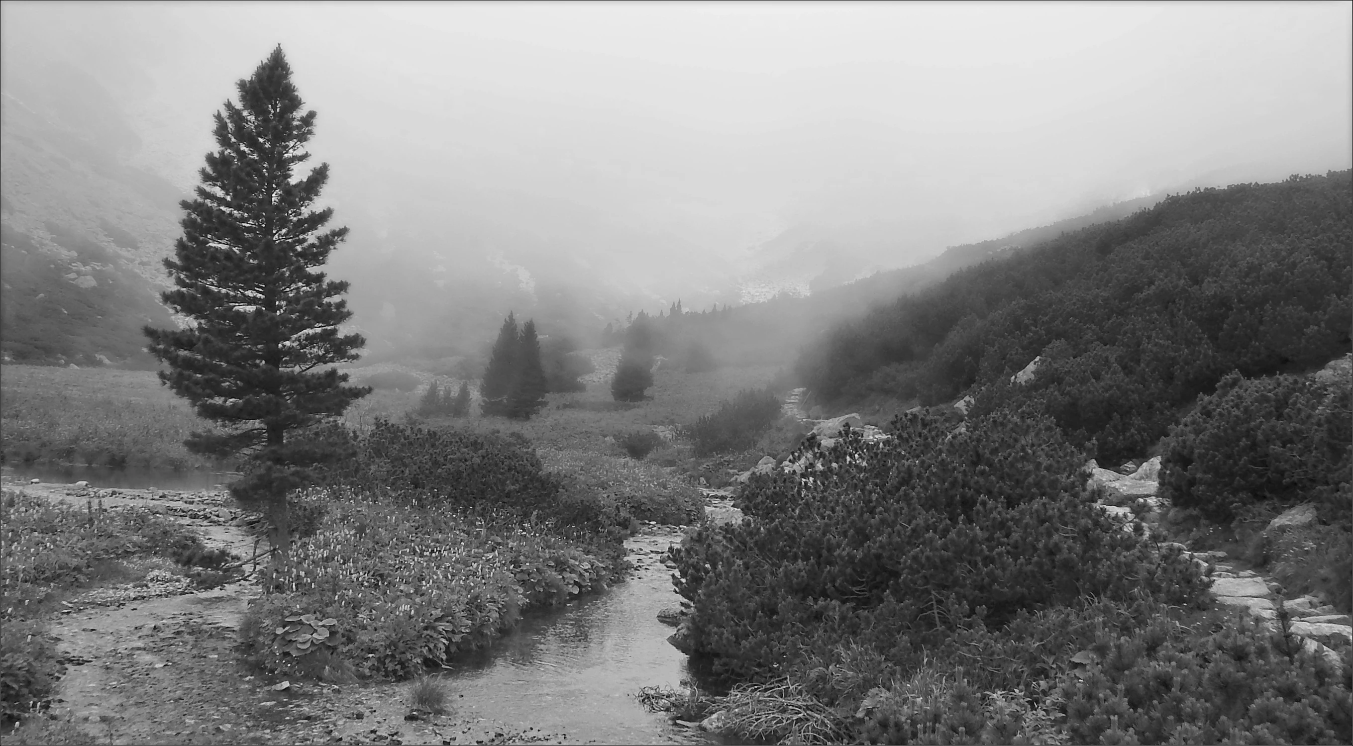 Tatry...