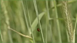 daleka droga na szczyt