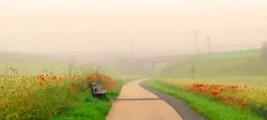 *****