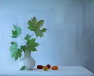 *****