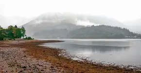 Highlands