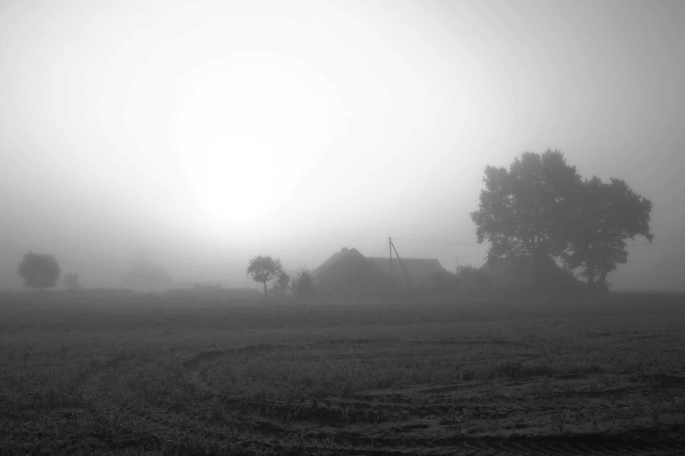Słońce we mgle