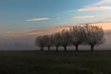 Poranek