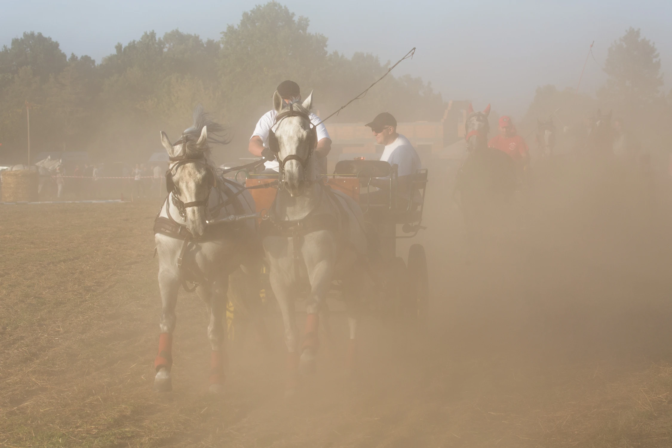 W tumanach pyłu