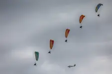 .
