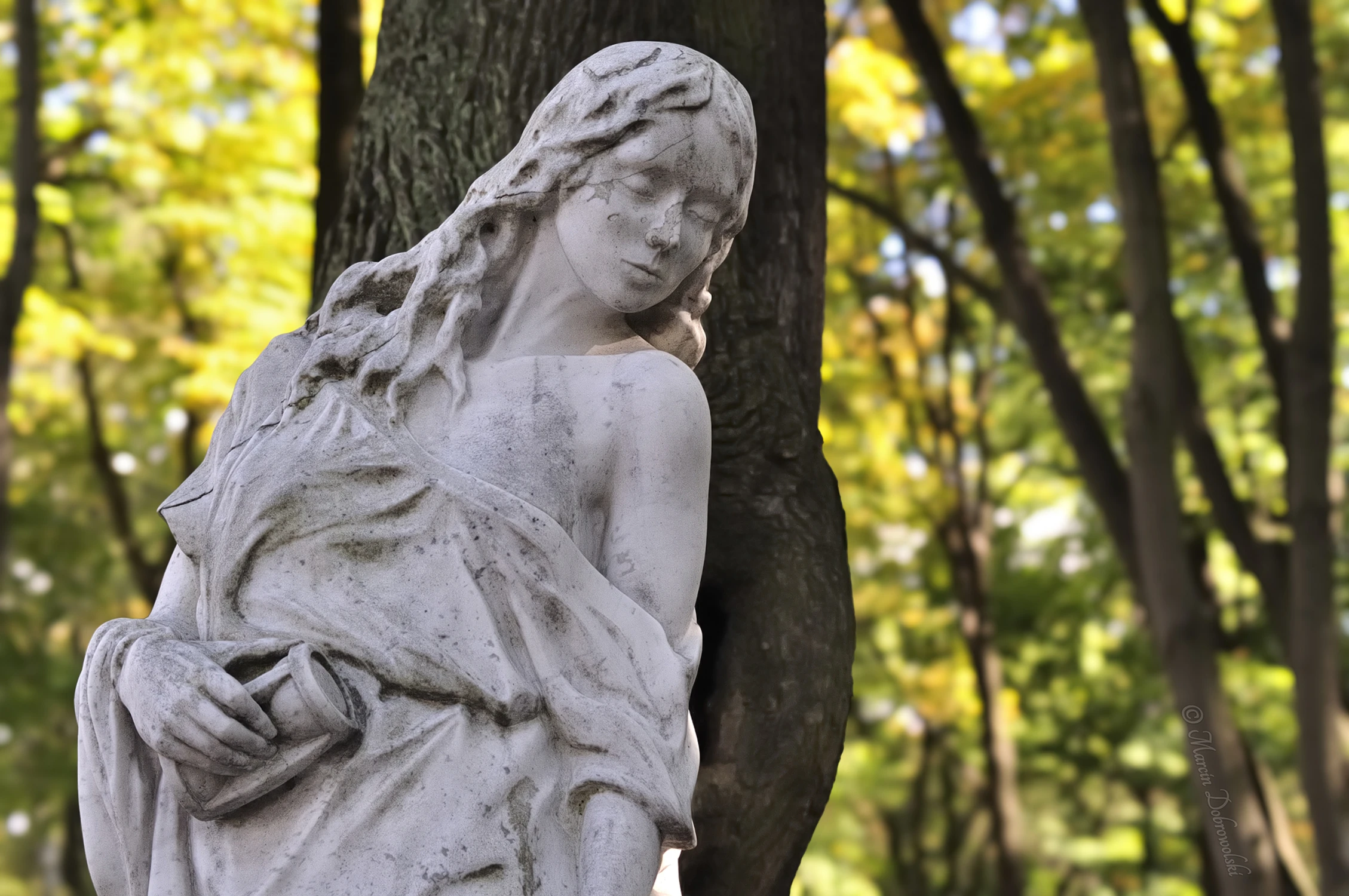 Affection for Eternity