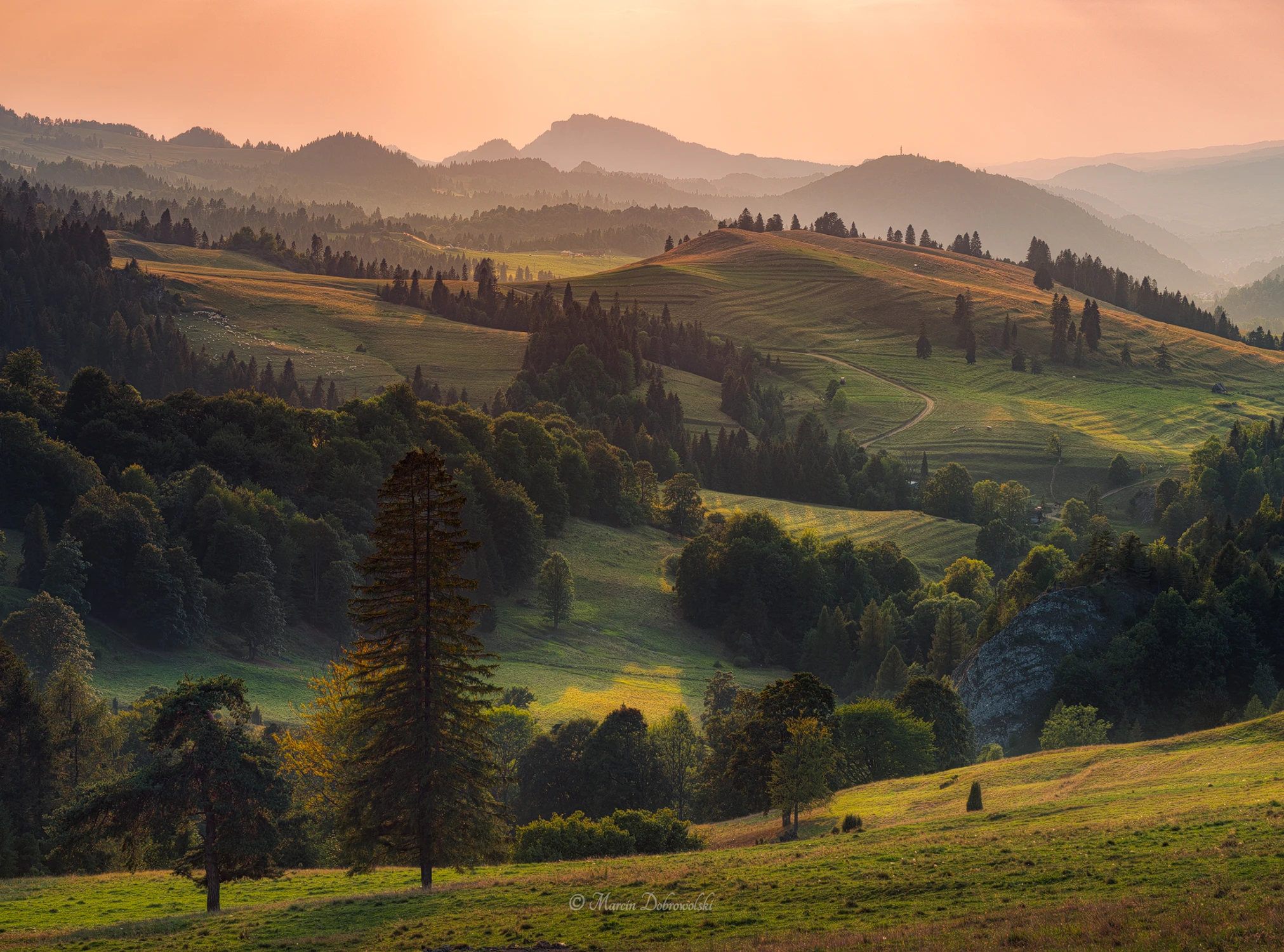 The Guard and the Pilgrims