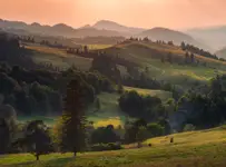 The Guard and the Pilgrims