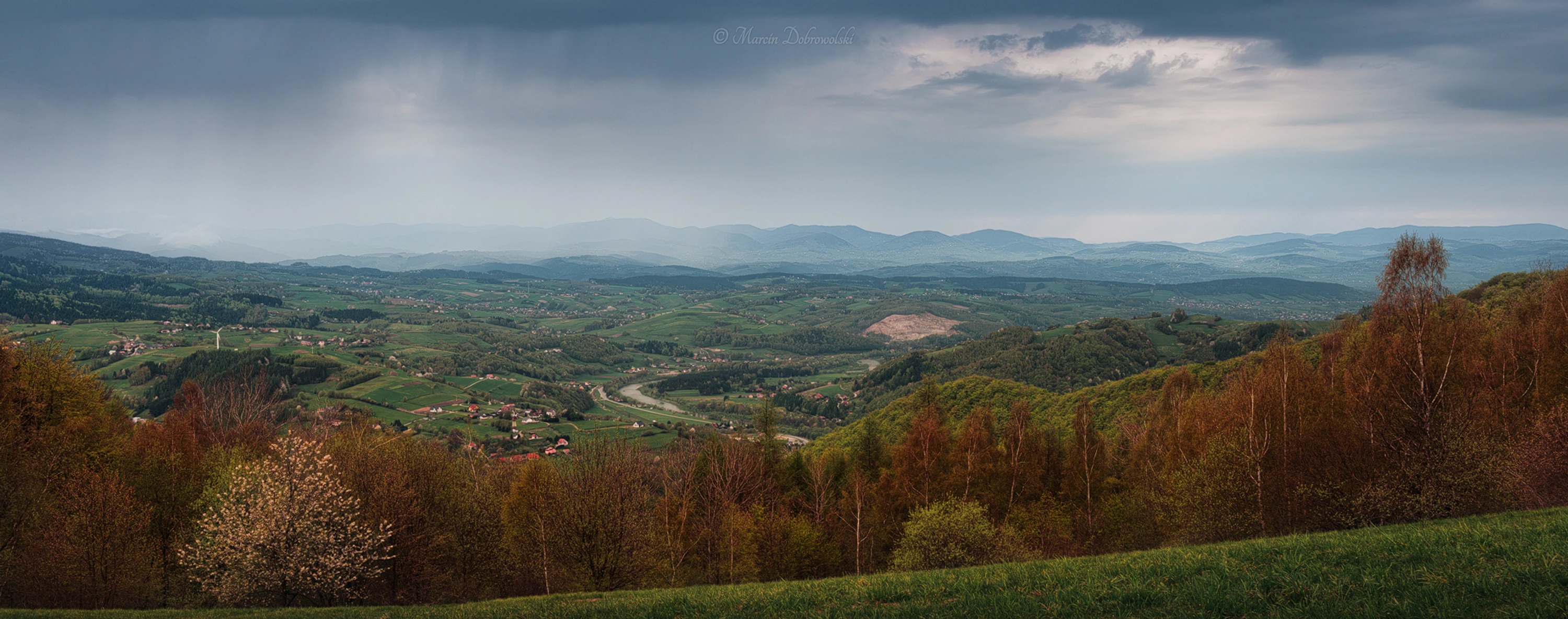 Spring Rain