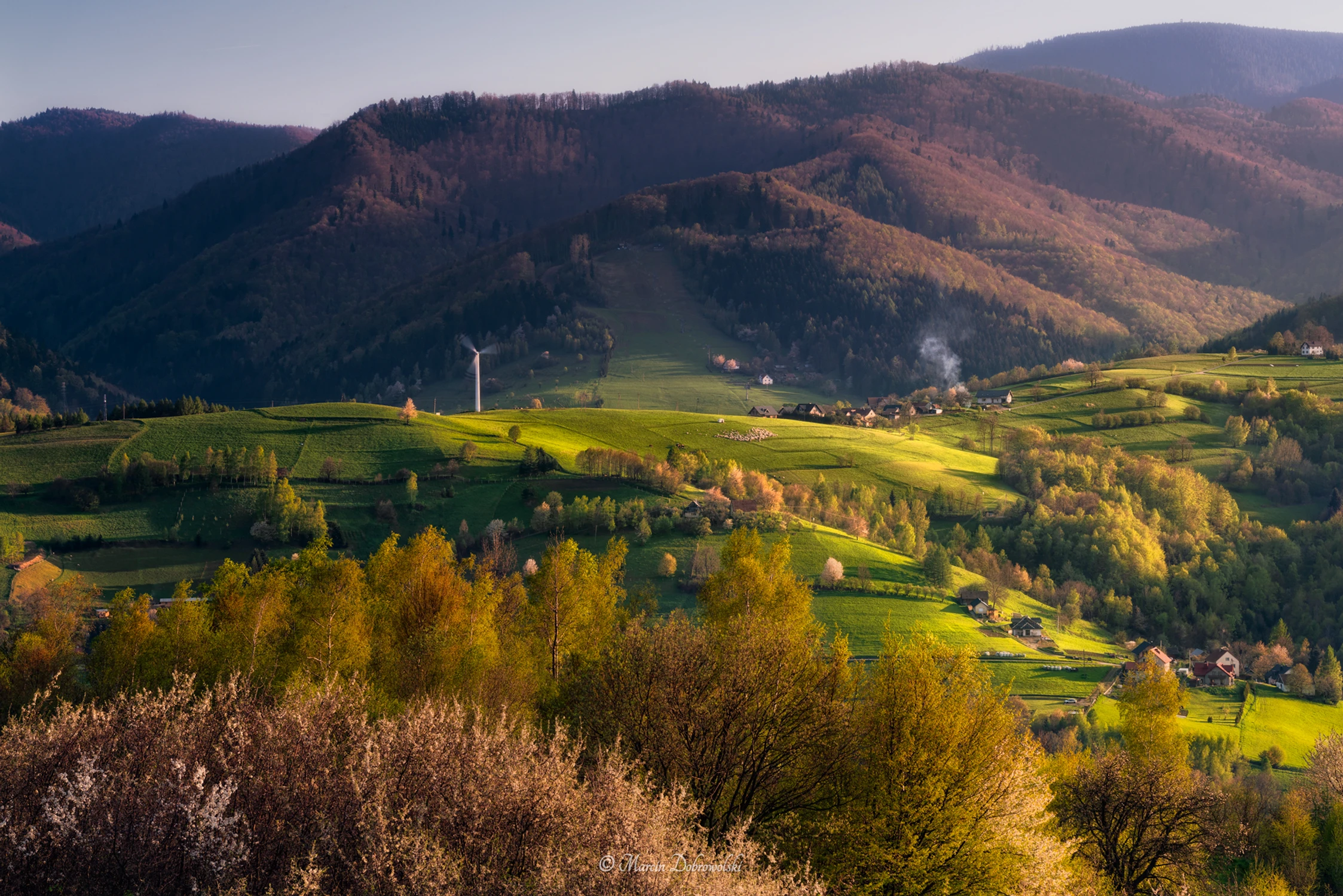 Dimensions of Spring