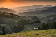 Rozdziela