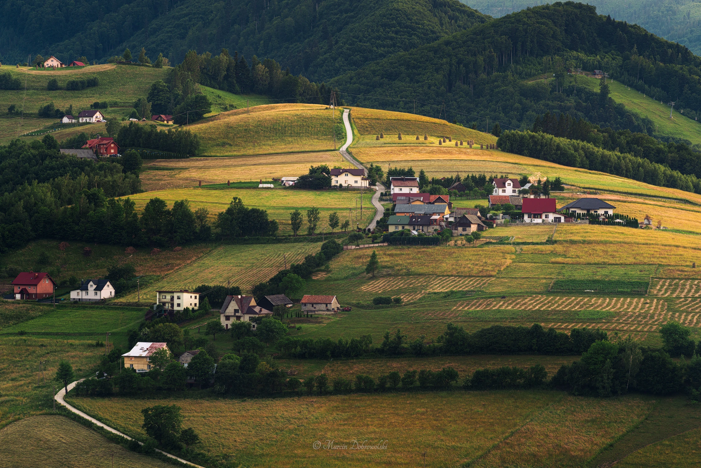 The Road and the Man