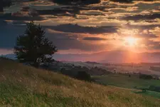 A Pleasant Surprise