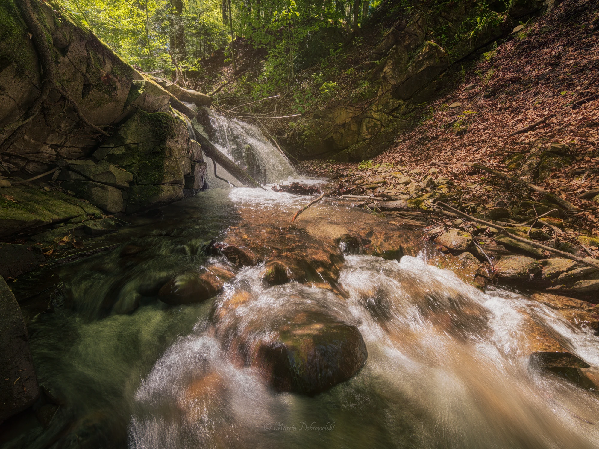 Not Accidental Chaos