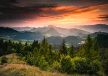 Red Sunset