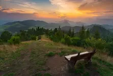 Secret Observer