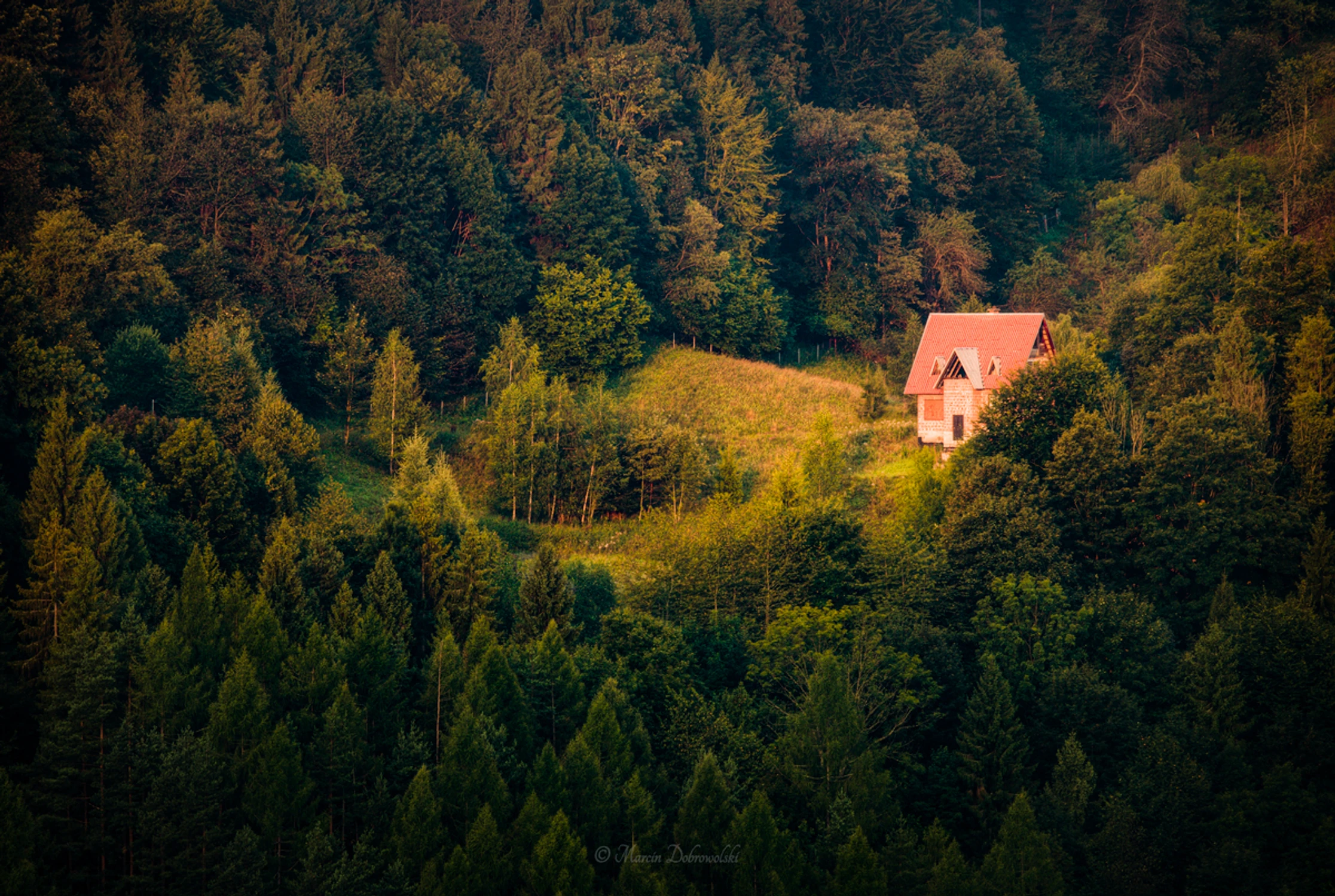 The Essence of Aloness