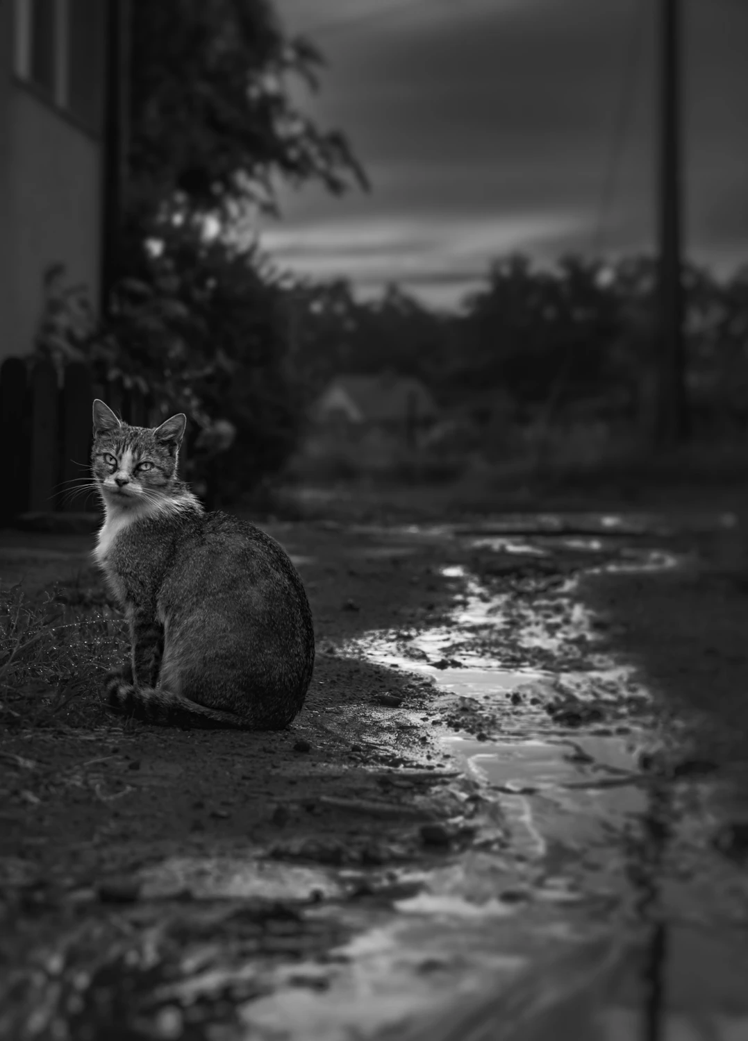 ..