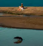 ..