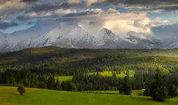 Łapszanka