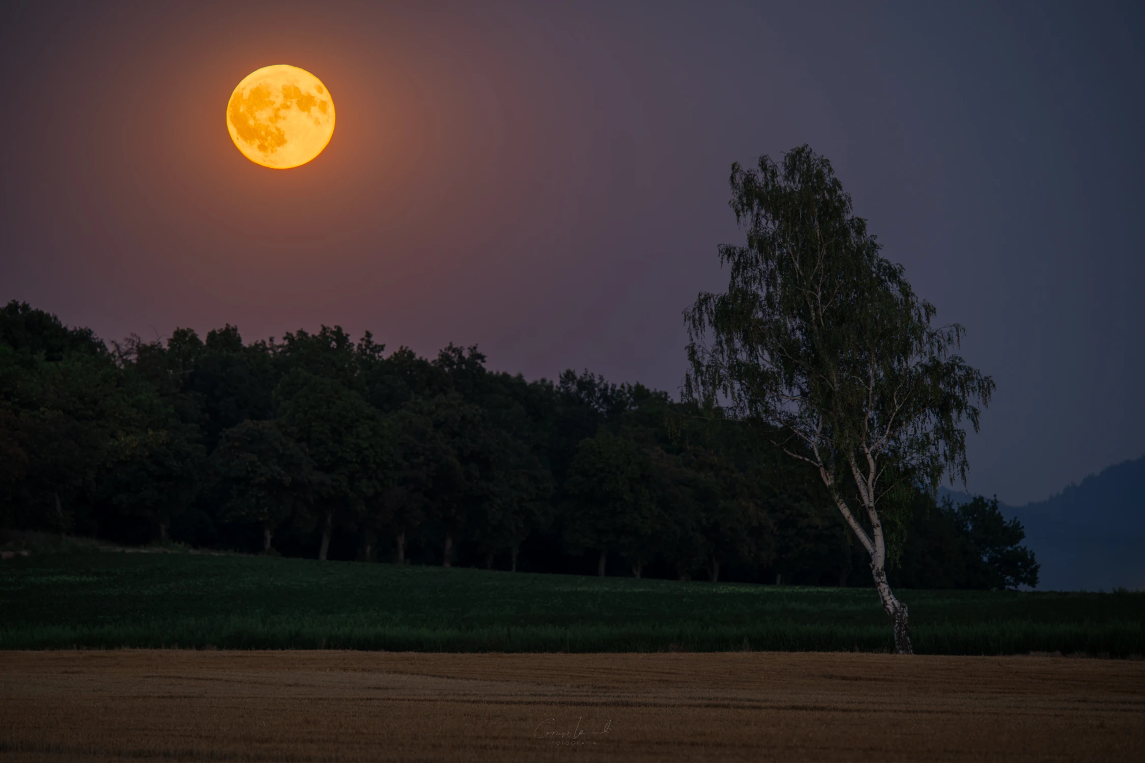 Lipcowa pełnia księżyca