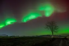 Zorza polarna 19.01.2026