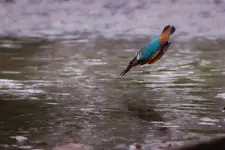 Pocisk