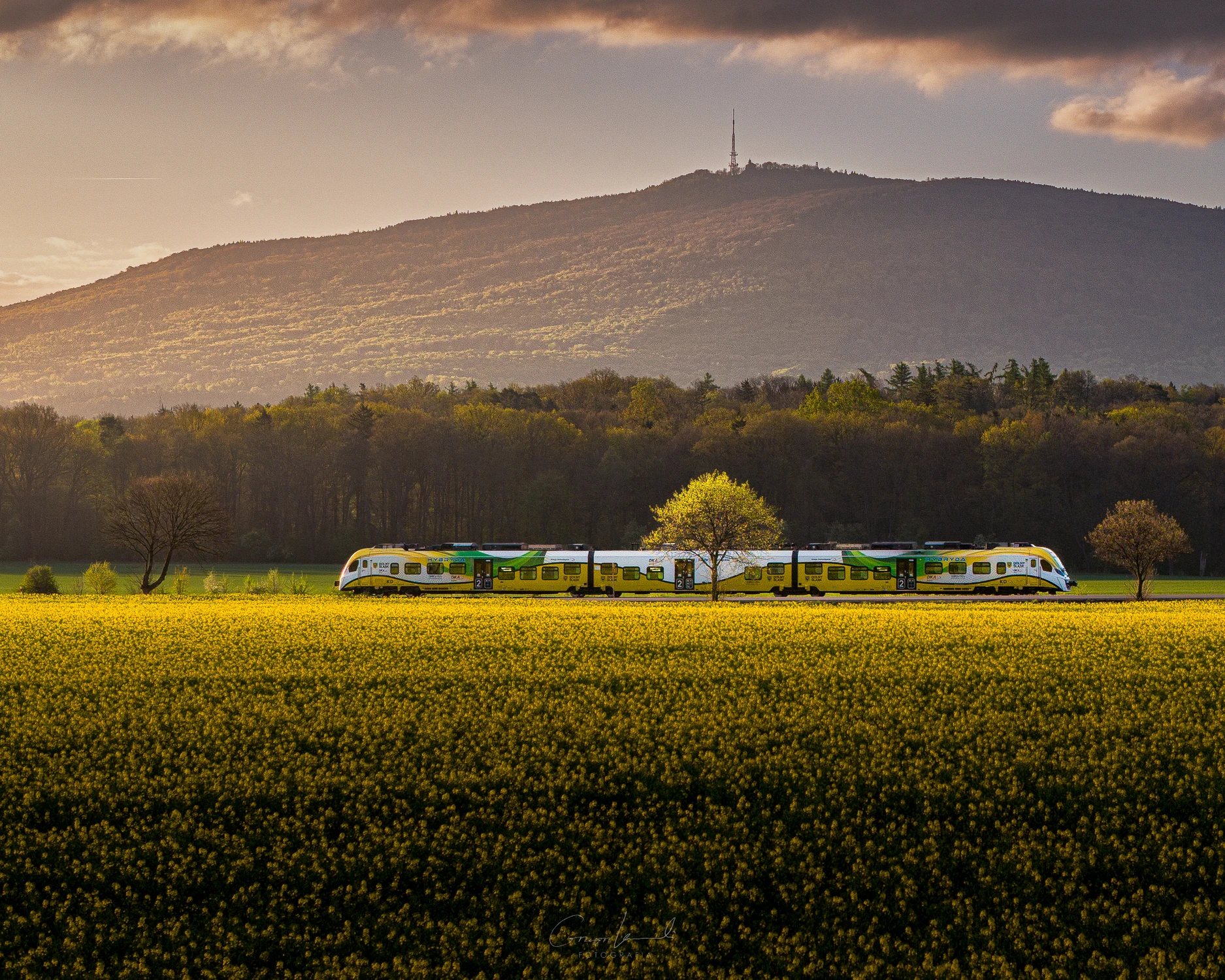 Pociąg Koleje Dolnośląskie i Ślęża