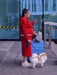 Byłam z pieskiem, czy bez pieska?