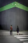 big brother