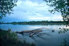 Królowa