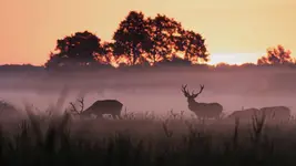 robi się klimatycznie