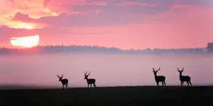 idziemy tylko w dobrą stronę