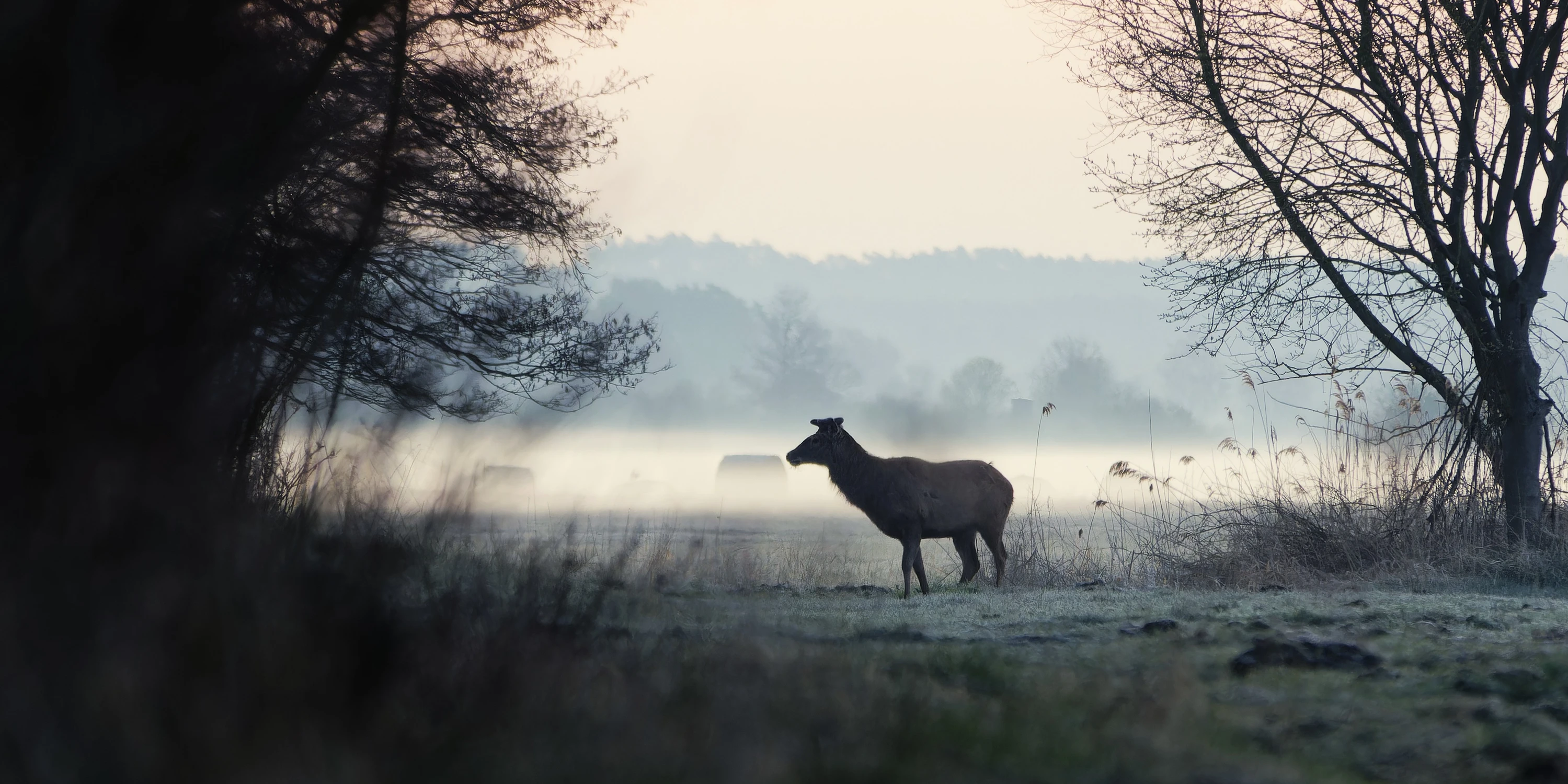 wszystko znowu się zaczyna .. piękny czas