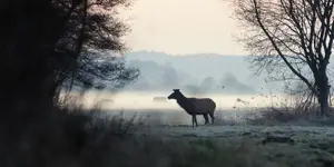 wszystko znowu się zaczyna .. piękny czas