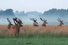 co tam się dzieje?
