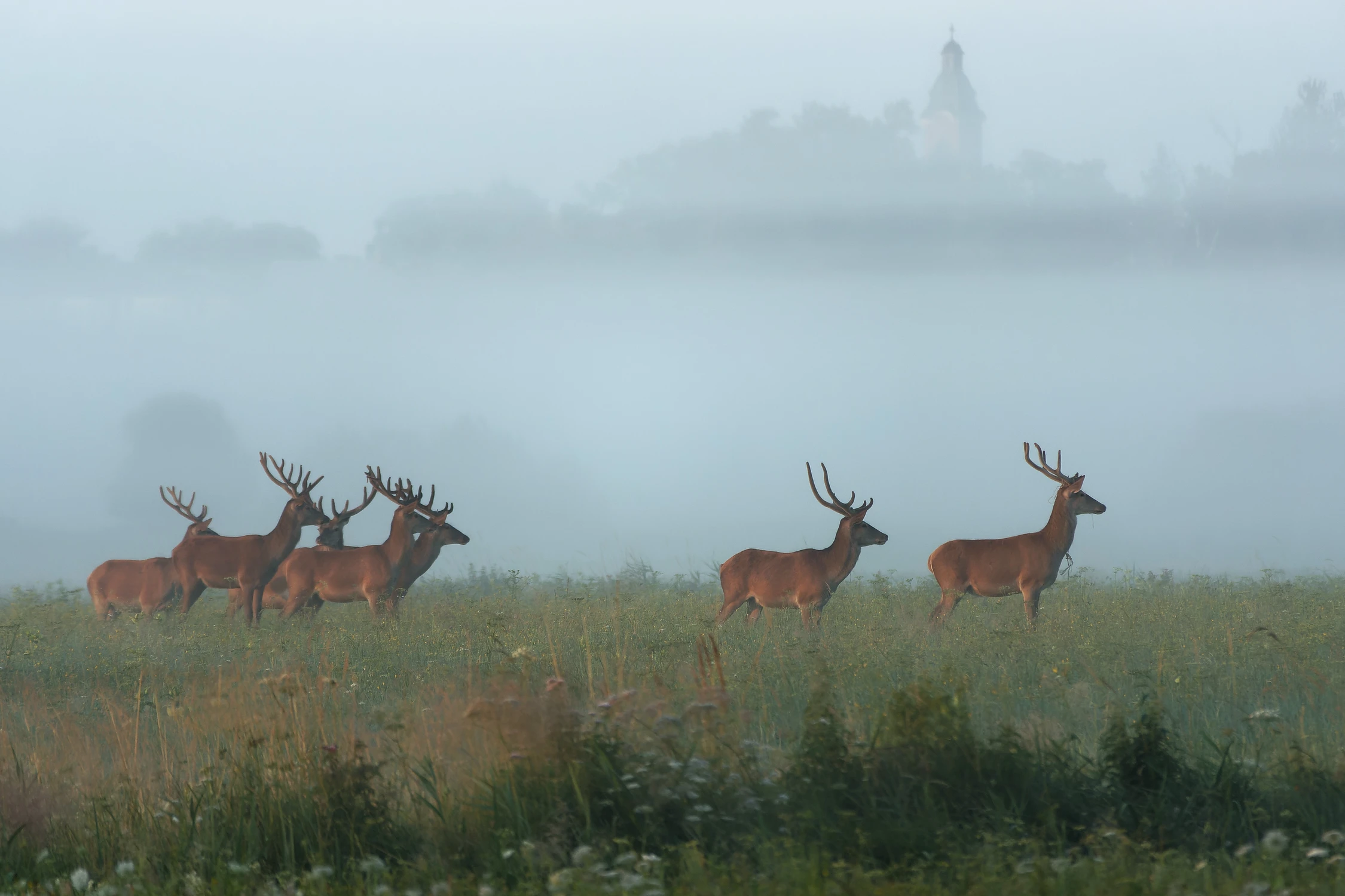 wieża kościelna