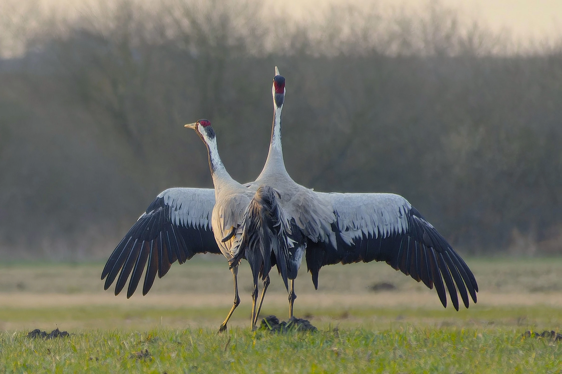 podejście 2-gie 🩵💚