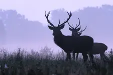 wrześniowa magia 