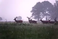 pochmurno, ale przyjemnie