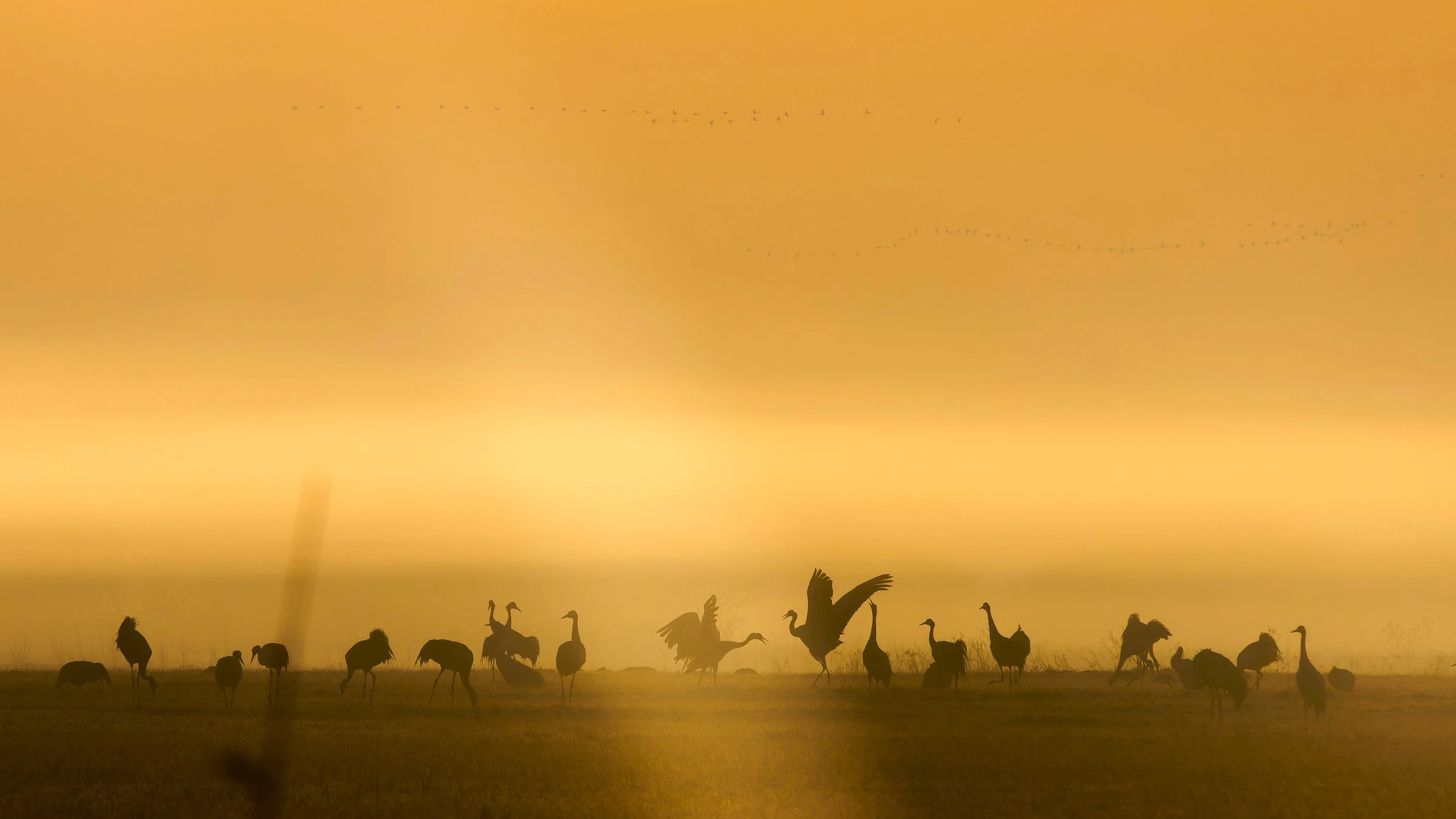 tam zawsze coś się dzieje
