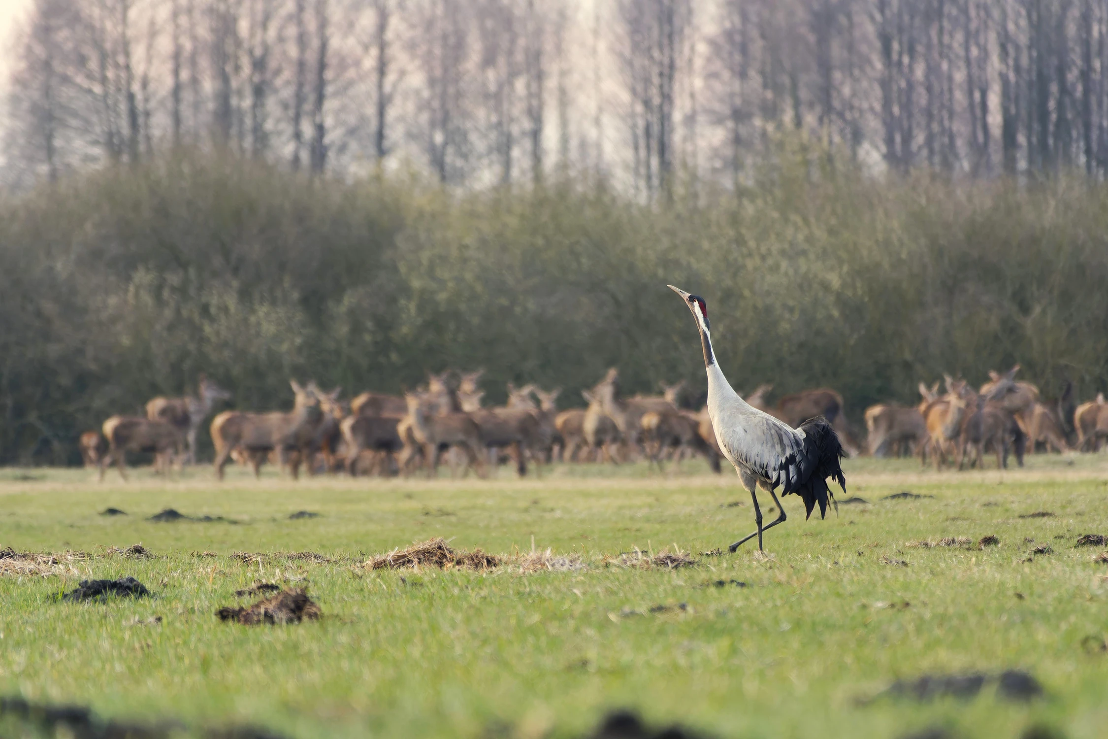 widać, że forma jest 💪 PUBLICZNOŚĆ też
