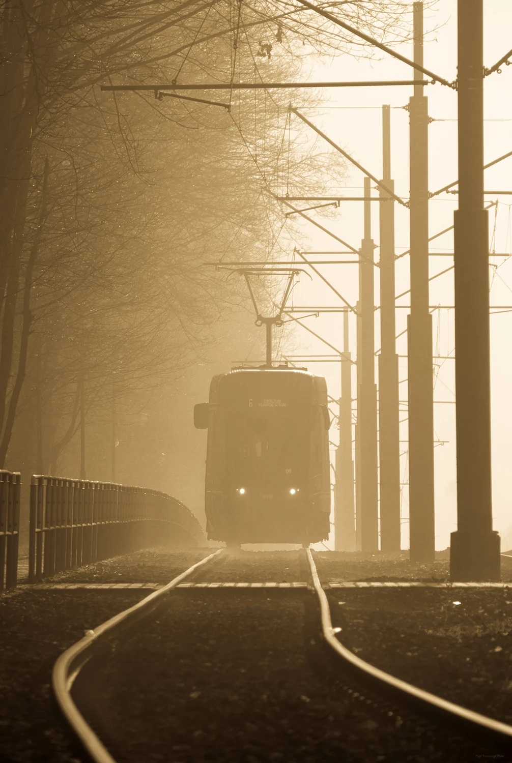 Marcowy, mglisty poranek