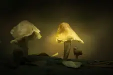 Zaopiekuj się mną...