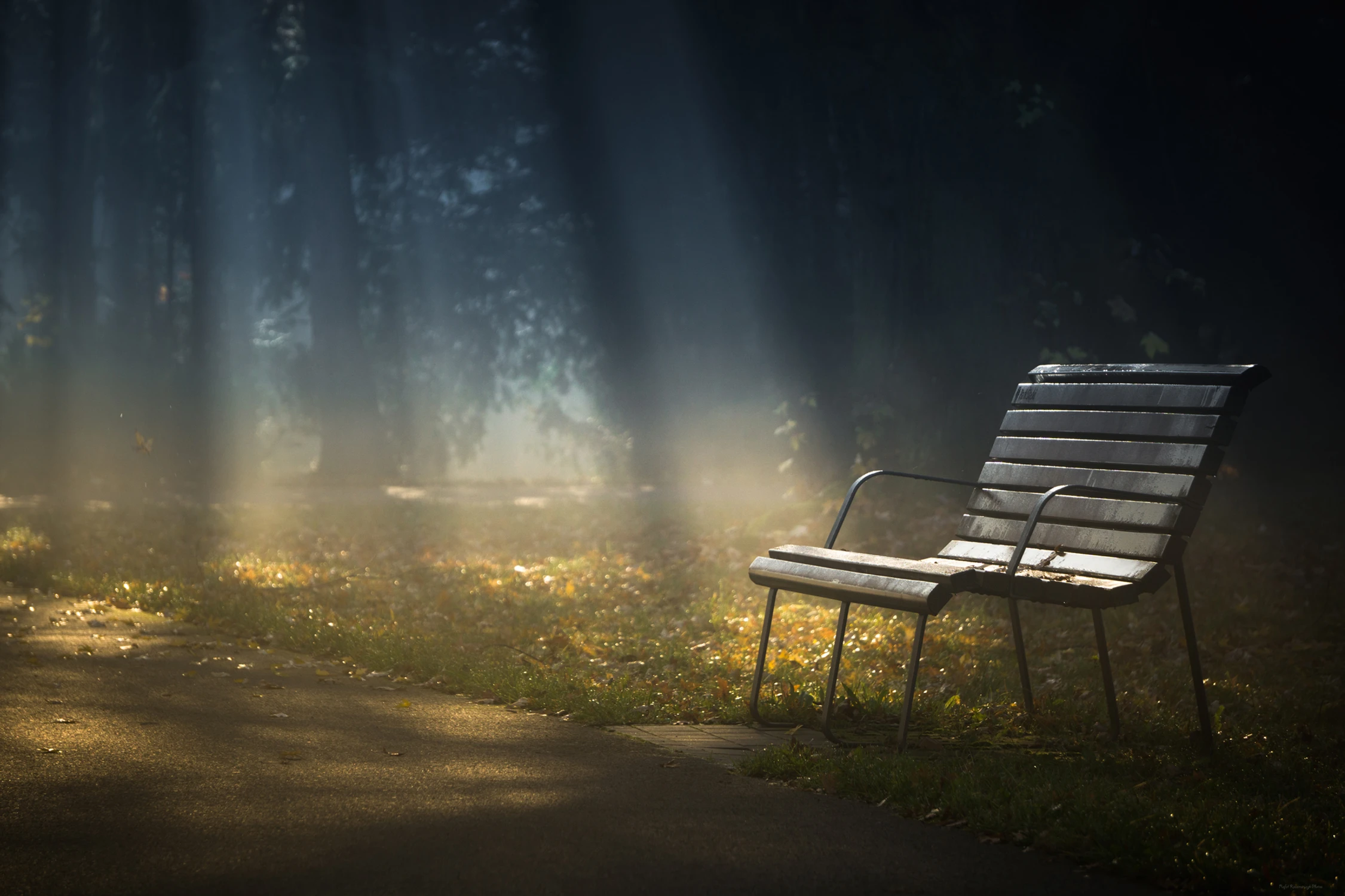 Na granicy mgły i słońca 