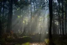 Słoneczne pieszczoty