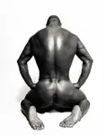body form D