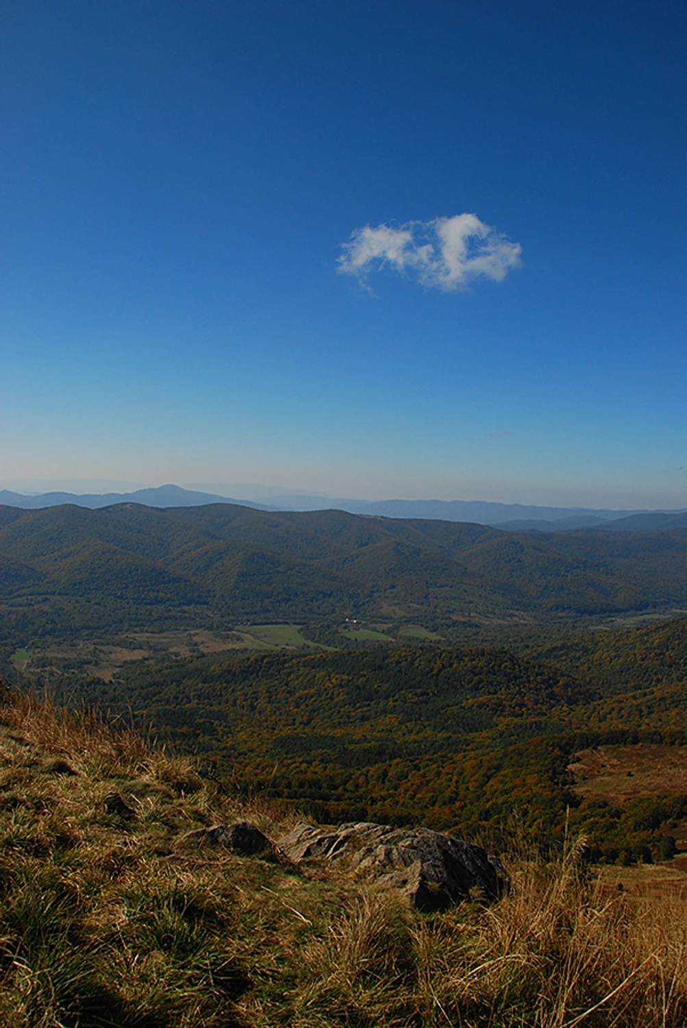 A może by tak rzucić wszystko i wyjechać w Bieszczady...