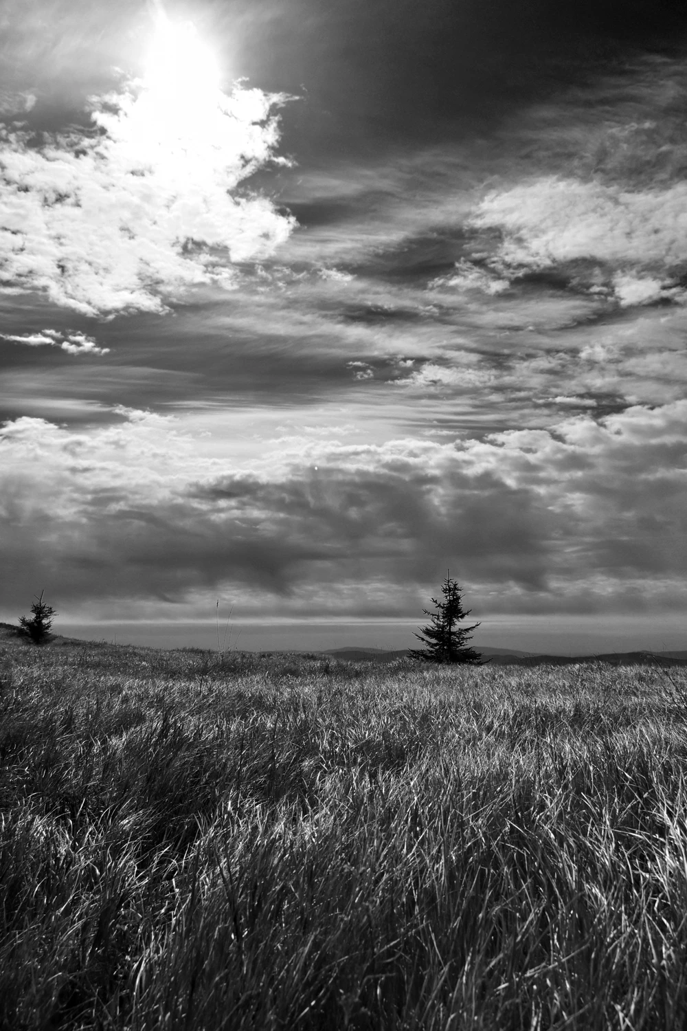 Bieszczady
