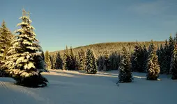 DSCF0444